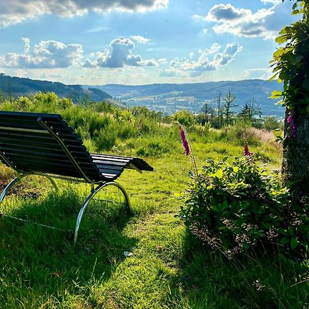Traumwohnung Mit Sauna & Kamin, Direkt Am Wald Plettenberg Luaran gambar