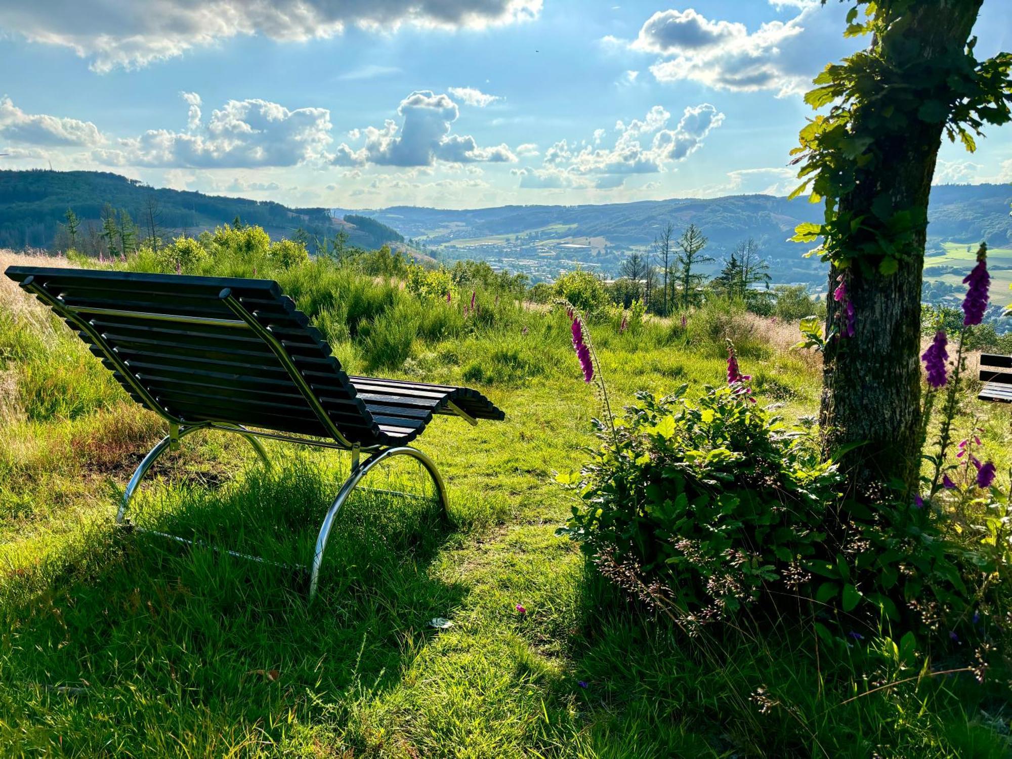 Traumwohnung Mit Sauna & Kamin, Direkt Am Wald Plettenberg Luaran gambar
